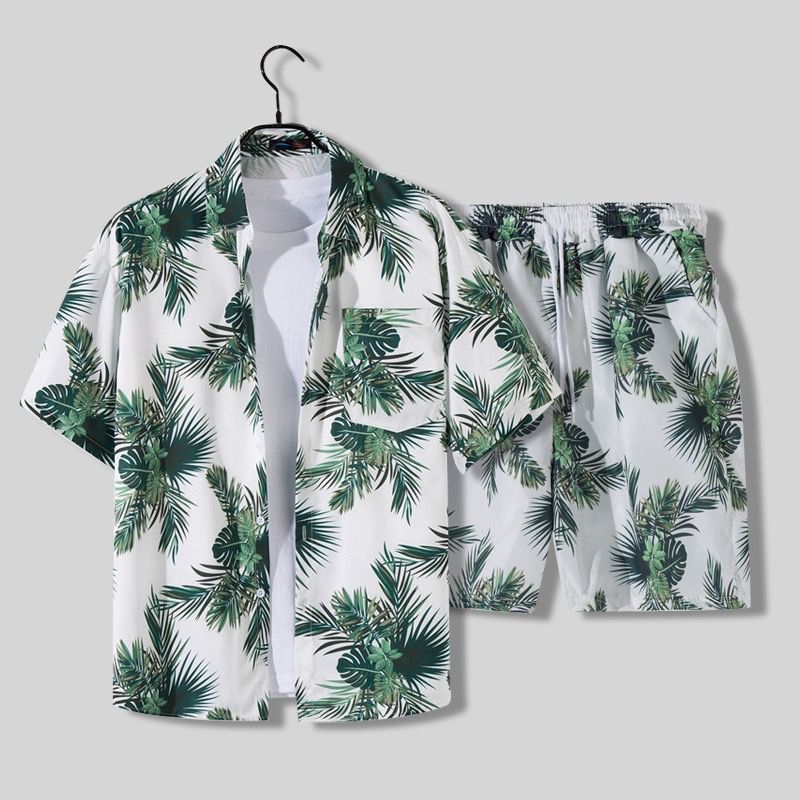 James | Tropische zomerset